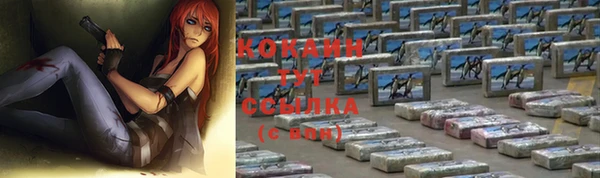 кокс Богородицк