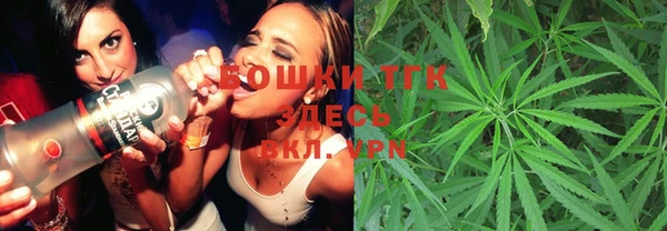 ешки Богданович