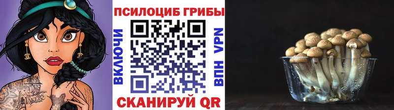 hydra сайт  Бобров  Галлюциногенные грибы Psilocybe  что такое наркотик 